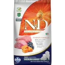 N&D Puppy Tahılsız Kuzu Etli Bal Kabaklı & Yaban Mersinli Orta ve Büyük Irk Yavru Köpek Maması 2.5 KG