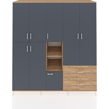 Antrasit - Atlas Çam