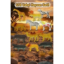 Hayvanlar