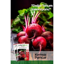 Tr 100 Adet Kırmızı Pancar Tohumu