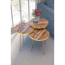 Zigon Sehpa Gold Ceviz Tel Çok Renkli