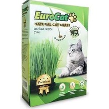 EuroCat Premium Class Kedi Çimi