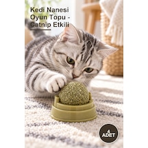 4 Adet Kedi Nanesi Oyun Topu - Catnip Etkili