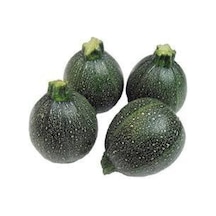 5 Adet Tohum Süper Paket Dolmalık Nadir Topak Kabak Tohumu Yuvarlak Kabak Tohumu Yeşil Kabak..