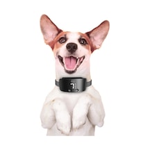 Doggie Ayarlanabilir Havlama Önleyici Eğitim Tasması Siyah M Siyah