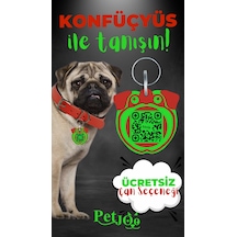 Petjoo 9.Konfüçyüs Yeşil-Kırmızı Qr'lı Köpek Künyesi