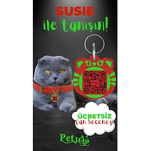 Petjoo 3.Susie Yeşil-Kırmızı Qr'lı Kedi Künyesi