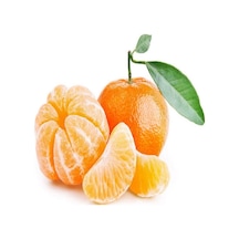 Tüplü Çekirdeksiz Ovari Mandalina Fidanı