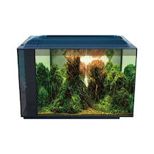 Anubias Corydoras 55 Nano Akvaryum Siyah 55,5x29,5x32 Cm 281-59000.01