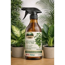 500 ML