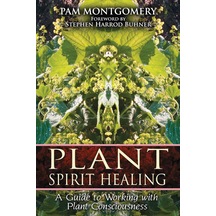 Plant Spirit Healing: A Guide To Working With Plant Consciousness