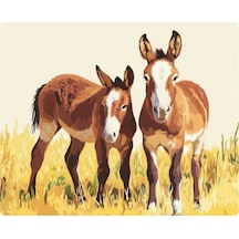 Eşekler Baskılı Mousepad 17,5x21,5 Cm