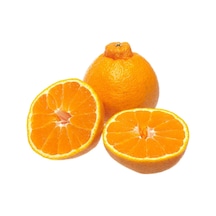 Tüplü Dekopon Mandalina Fidanı