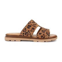 Tamer Tanca Kadın Hakiki Deri Leopar Süet Düz Terlik 956 8306 Bn Trlk Y25 Leopar Suet Leopar
