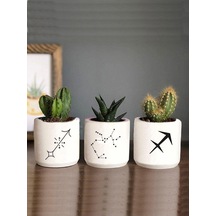 Yay Burcu Sukulent Ve Kaktüs Saksı Seti Yada Masaüstü Kalemlik Hediyelik