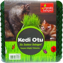 Eden Zirai Kedi Otu Yetiştirme Seti