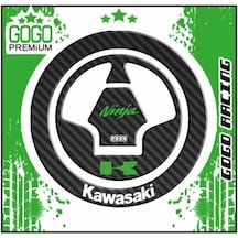 Kawasaki Z1000 2008 - 2016 Uyumlu Depo Kapak Pad 006 Çok Renkli