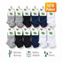 Çok Renkli