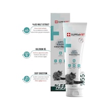 Anti Stress Malt Paste 100 Gr