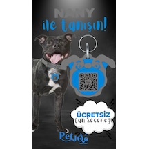 Petjoo 17.Nany Mavi-Gri Qr'lı Köpek Künyesi
