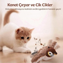 Tineke Şarjlı Titreşimli Hareketli Kedi Oyuncağı Uçan Kuş Oyuncak
