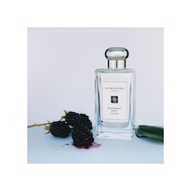 Jo Malone London Blackberry & Bay Cologne 100 Fresh