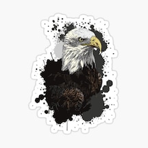 Araba Için Kartal Oto Sticker Yapıştırması Etiket 17Cm Zz5