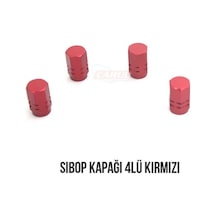 Sibop Kapağı Nikel Kırmızı Mavi Lastik Valf Kapağı Onkar Otk-24431