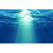 Kanki Pet 70 Cm Akvaryum Arka Fon Yapıştırma 70x45 Cm Kp7045029