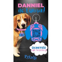 Petjoo 21.Danniel Mavi-Pembe Qr'lı Köpek Künyesi
