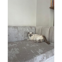 Koltuk Örtüsü Pamuk Bej 190 X 220 Çok Renkli