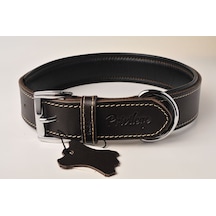 Privilege Hakiki Deri Köpek Boyun Tasması L Kahverengi 3 x 47-56 CM Kahverengi