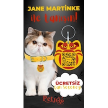 Petjoo 5.Jane Martinke Kırmızı-Sarı Qr'lı Kedi Künyesi
