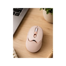 Şarjlı Kablosuz Mouse Sessiz Tıklama Bluetooth Ve Usb Destekli Renk Diğer