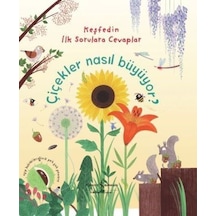 Çiçekler Nasıl Büyüyor? - Katie Daynes - İş Bankası Kültür Yayınları