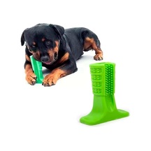 Köpek Diş Fırçası L Boy
