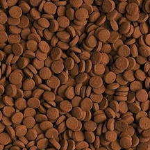 Tropical Carnivore 100 Gram Balık Yemi