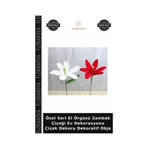 Çok Renkli