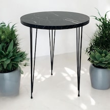 Beyaz - Atlantik Çam