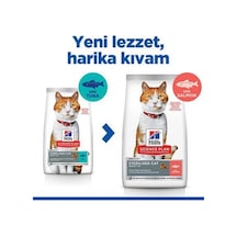 Hill's Somon Balıklı Kısırlaştırılmış Kedi Maması 3 Kg