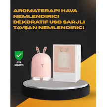 Usb Bağlantılı Sessiz Çalışan Led Işıklı Nemlendirici Difüzör 200 Ml
