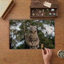 Asil Gri Tekir Kedi Tasarımı 240 Parça Ahşap Puzzle Ahşap Kutuda Mpy60161