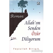 Allah'Im Senden Özür Diliyorum Feyzullah Birışık