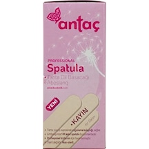 Antaç Spatula 100 Adet