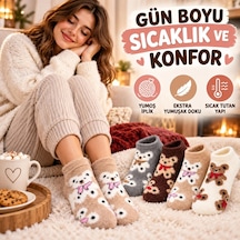 Çok  Renkli