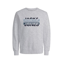 Jack & Jones Erkek Bisiklet Yaka Baskili Sweatshirt - Ray 12267544 Light Grey Melange Gri