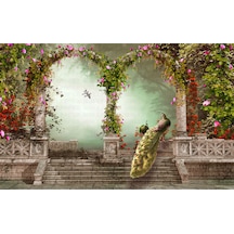 Kemerli Sütünların Arasında Tavus Kuşu Poster Duvar Kağıdı Renkli