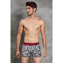 Doreanse Erkek Modal Çok Renkli Baskılı Torbalı Normal Paça Boxer (525297237)