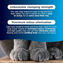 Fast Acting Odour Control Kedi Kumu Koku Önleyici Topaklanan Küçük Alanlar İçin 10 Litre