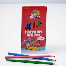 Pigui Kuru Boya Kalemi 12 Renk Pgkb-21 Çok Renkli